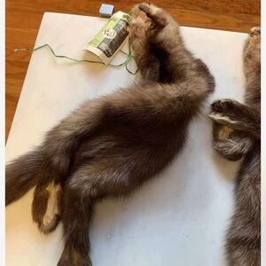 Russian Sable Fur Skin Real Fur Russian Sable. 24” by 9.5+”. See measurements.